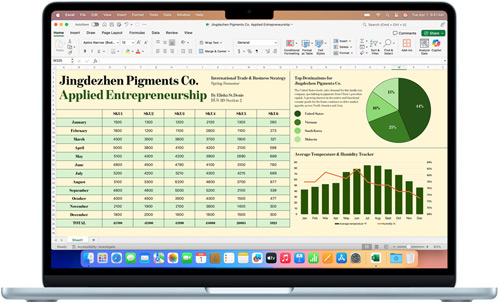 Appen Microsoft Excel visas på en MacBook Air