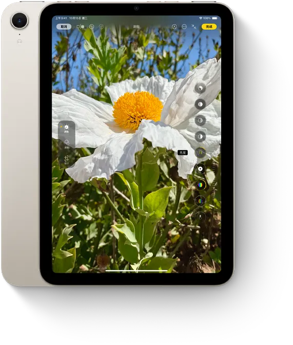 直向顯示的 iPad mini 展示照片 app。